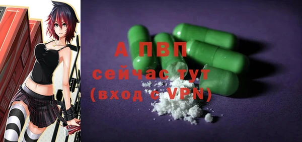 стаф Абинск