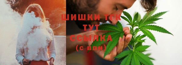 ПСИЛОЦИБИНОВЫЕ ГРИБЫ Абдулино