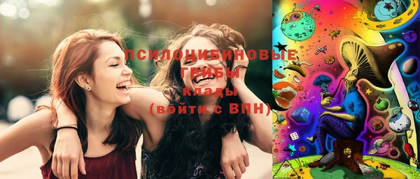 стаф Абинск